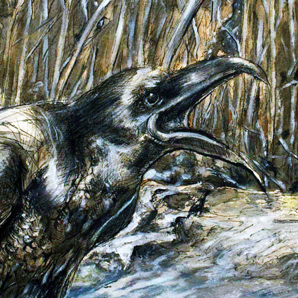 Website-Thumbs-Fine-Art