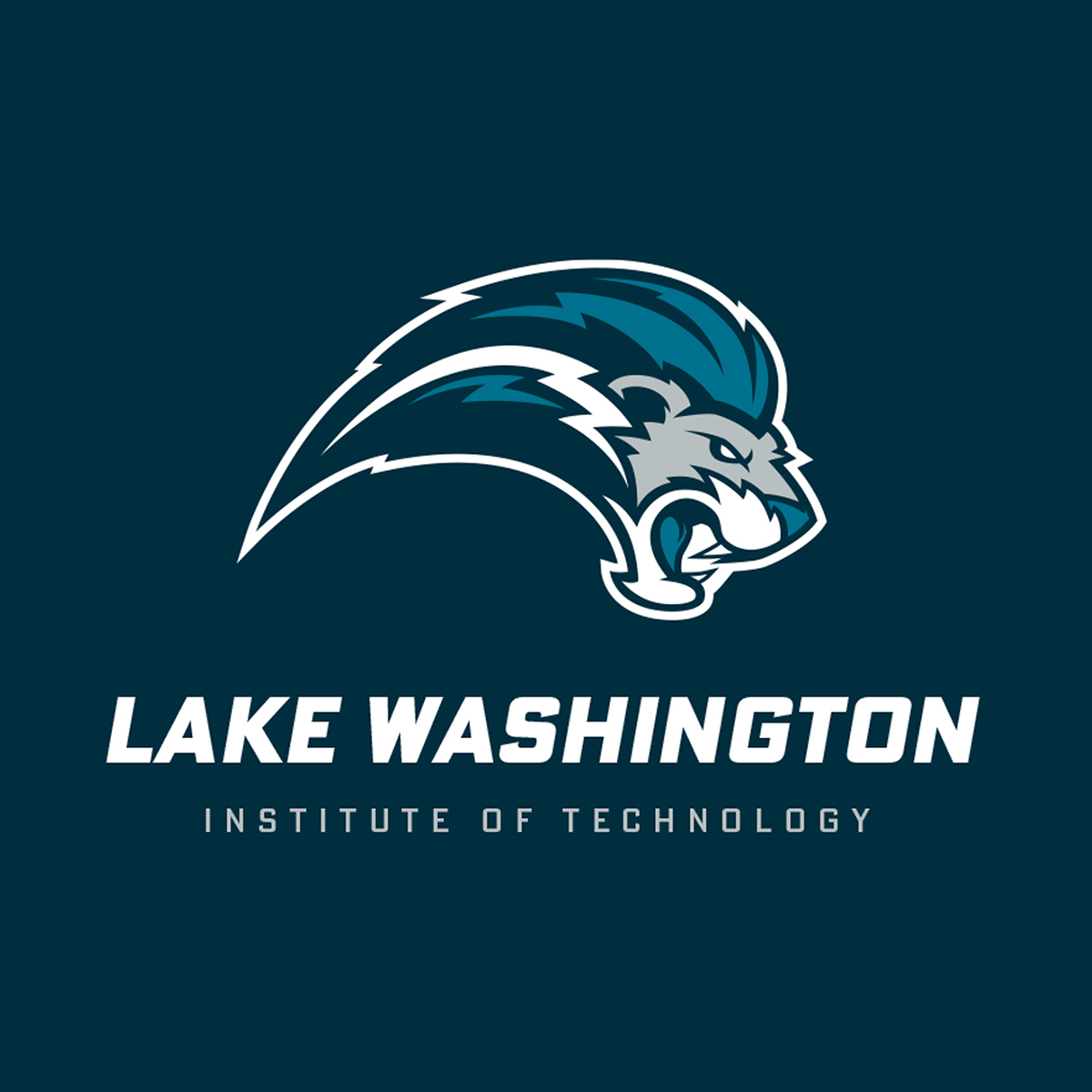 lake washington institute of technology work